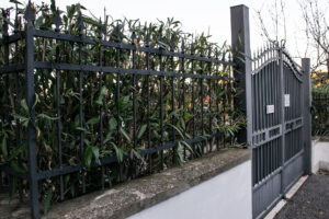 Ringhiera Tempered Steel